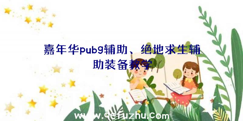 嘉年华pubg辅助、绝地求生辅助装备教学