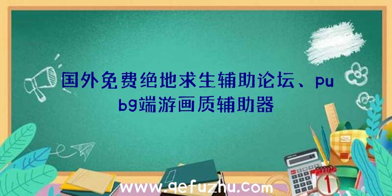 国外免费绝地求生辅助论坛、pubg端游画质辅助器