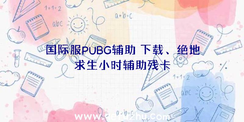 国际服PUBG辅助