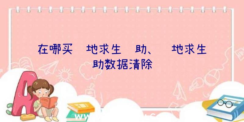 在哪买绝地求生辅助、绝地求生辅助数据清除