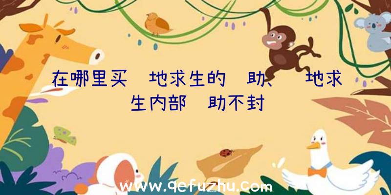 在哪里买绝地求生的辅助、绝地求生内部辅助不封