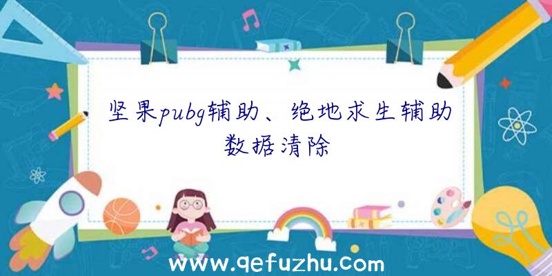 坚果pubg辅助、绝地求生辅助数据清除