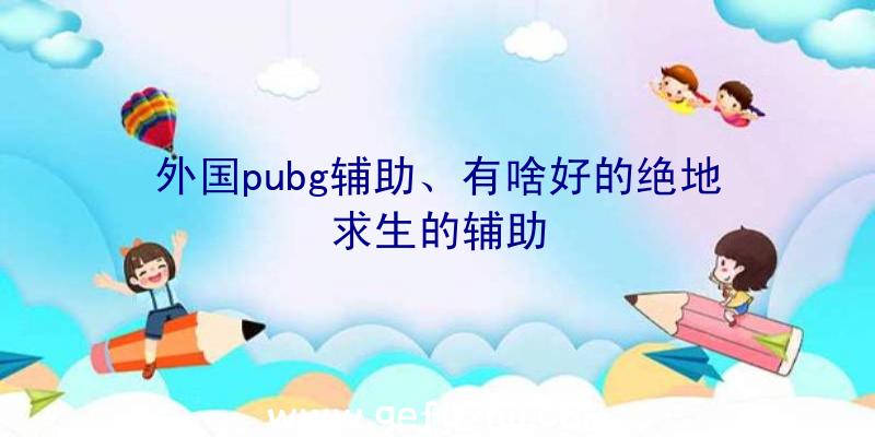 外国pubg辅助、有啥好的绝地求生的辅助