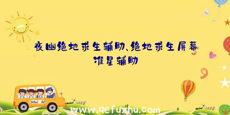 夜幽绝地求生辅助、绝地求生屏幕准星辅助