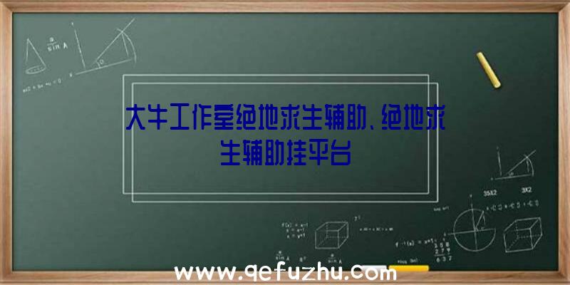 大牛工作室绝地求生辅助、绝地求生辅助挂平台