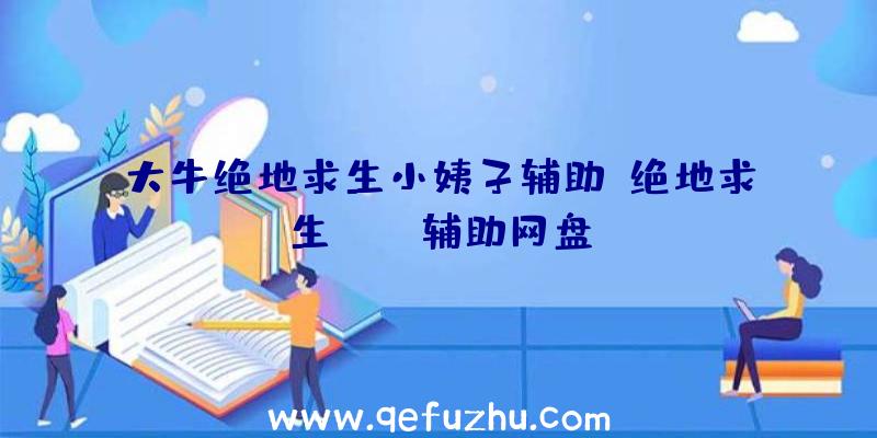 大牛绝地求生小姨子辅助、绝地求生pubg辅助网盘