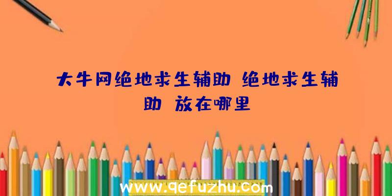 大牛网绝地求生辅助、绝地求生辅助