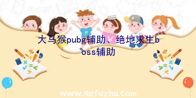 大马猴pubg辅助、绝地求生boss辅助