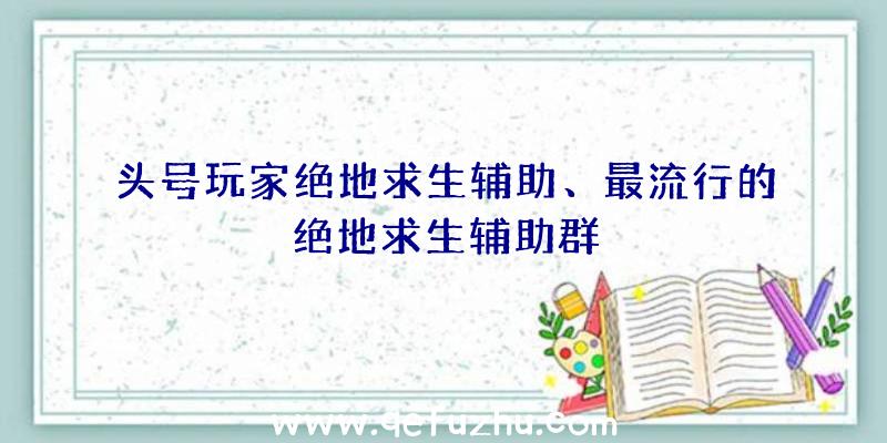 头号玩家绝地求生辅助、最流行的绝地求生辅助群