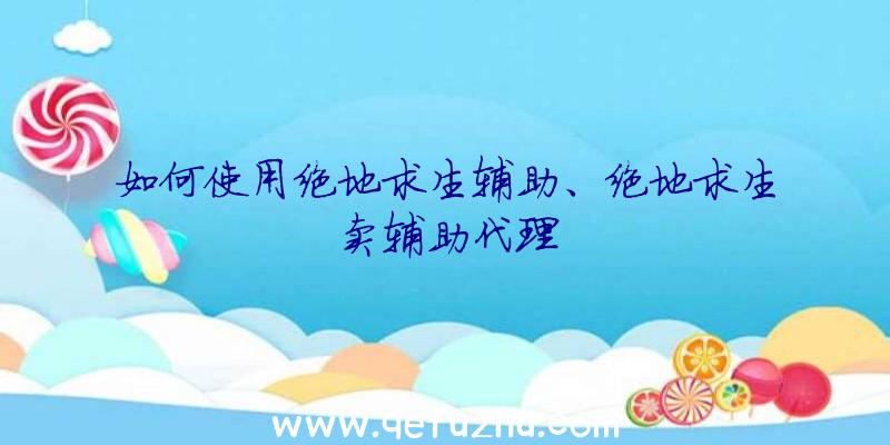 如何使用绝地求生辅助、绝地求生卖辅助代理