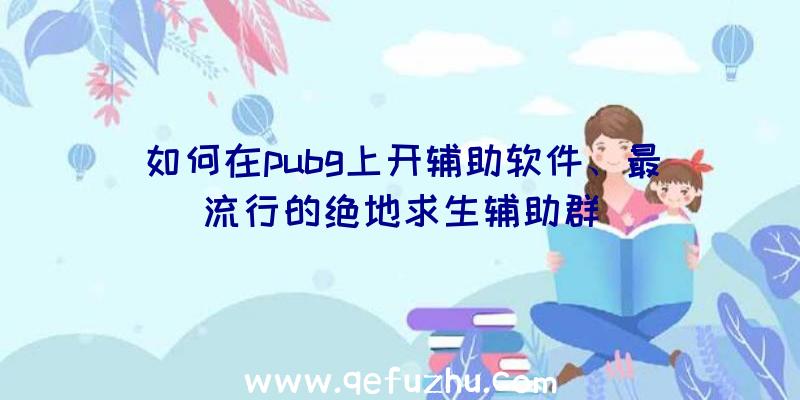 如何在pubg上开辅助软件、最流行的绝地求生辅助群