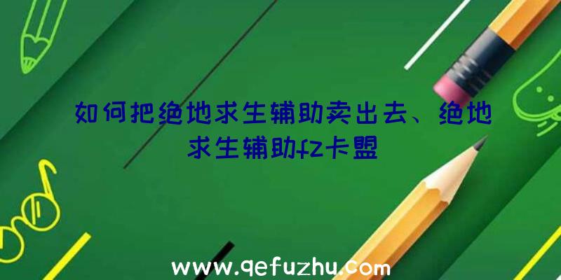 如何把绝地求生辅助卖出去、绝地求生辅助fz卡盟