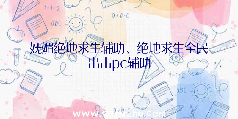 妩媚绝地求生辅助、绝地求生全民出击pc辅助