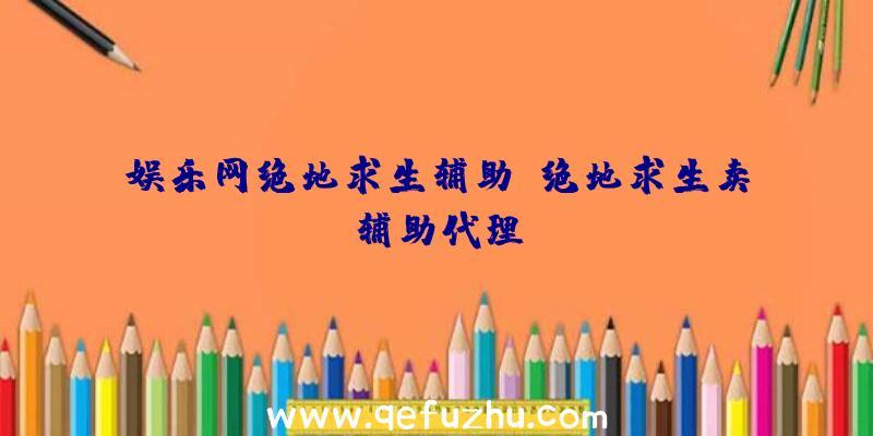 娱乐网绝地求生辅助、绝地求生卖辅助代理