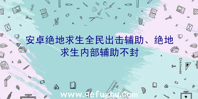 安卓绝地求生全民出击辅助、绝地求生内部辅助不封