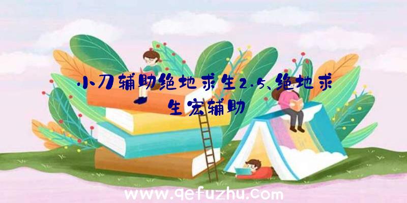 小刀辅助绝地求生2.5、绝地求生宏辅助