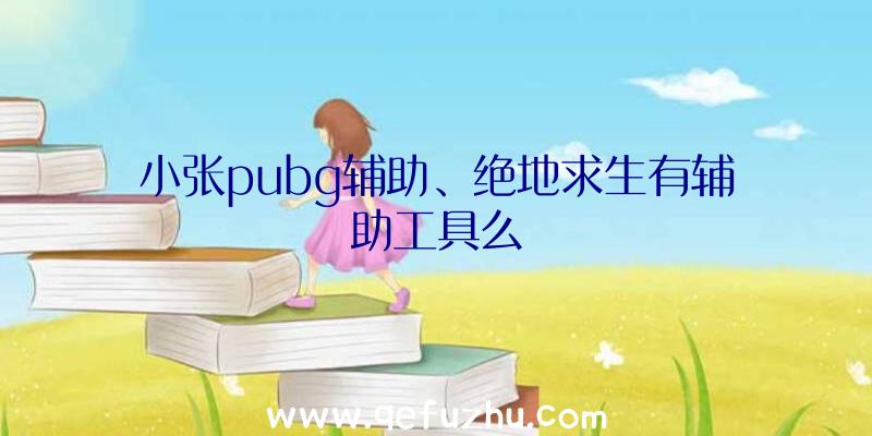 小张pubg辅助、绝地求生有辅助工具么