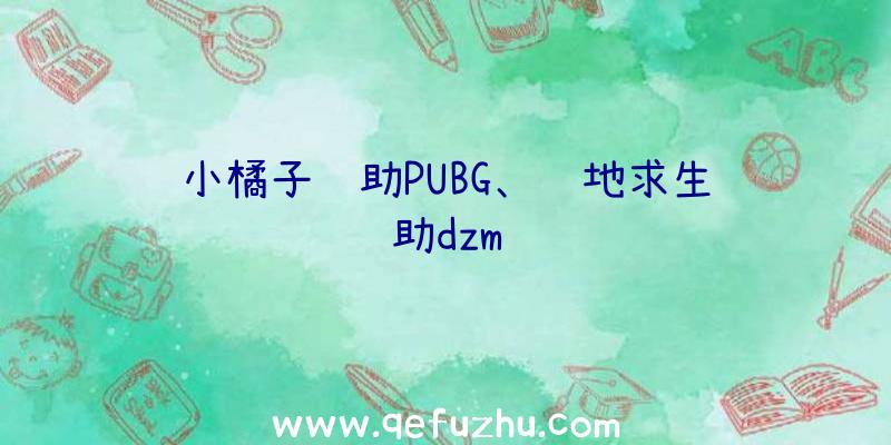 小橘子辅助PUBG、绝地求生辅助dzm