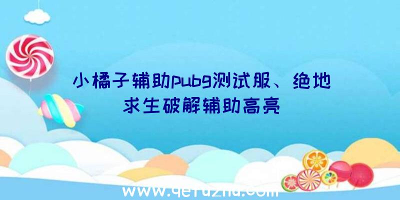 小橘子辅助pubg测试服、绝地求生破解辅助高亮