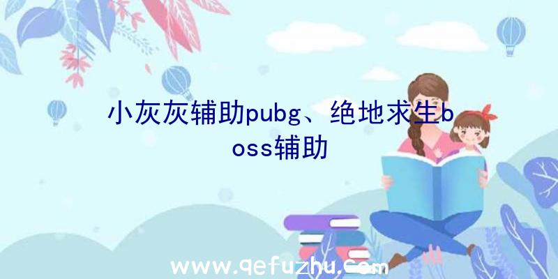 小灰灰辅助pubg、绝地求生boss辅助