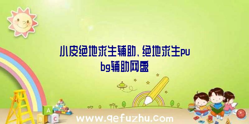 小皮绝地求生辅助、绝地求生pubg辅助网盘