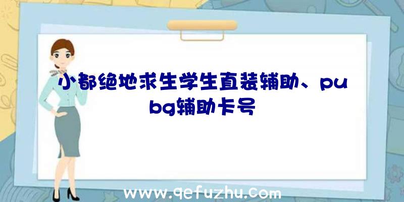 小都绝地求生学生直装辅助、pubg辅助卡号