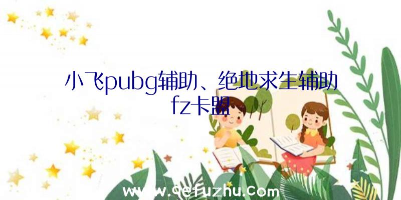 小飞pubg辅助、绝地求生辅助fz卡盟