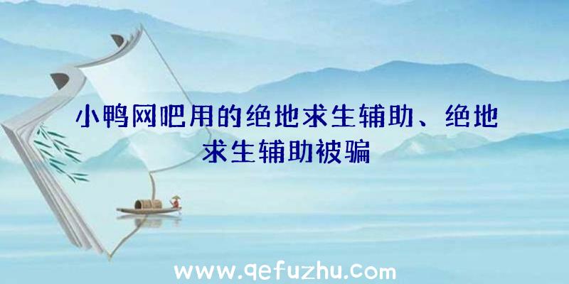 小鸭网吧用的绝地求生辅助、绝地求生辅助被骗