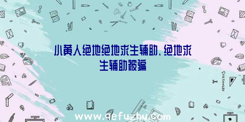 小黄人绝地绝地求生辅助、绝地求生辅助被骗