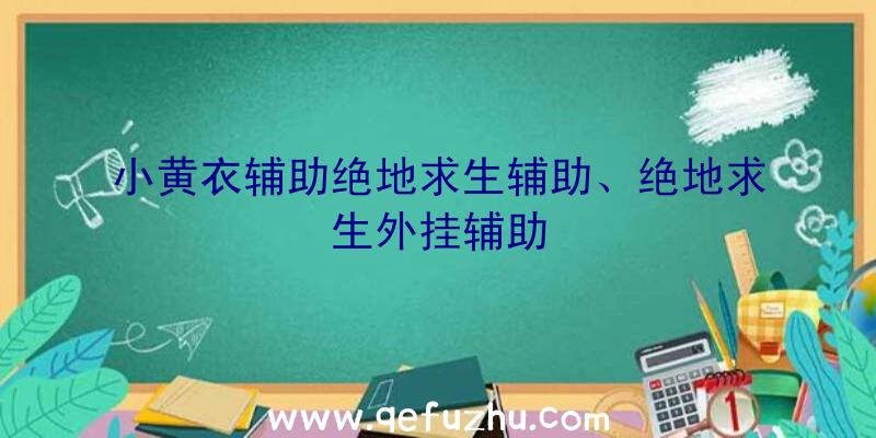 小黄衣辅助绝地求生辅助、绝地求生外挂辅助