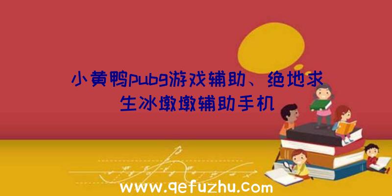 小黄鸭pubg游戏辅助、绝地求生冰墩墩辅助手机