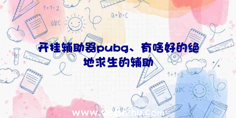 开挂辅助器pubg、有啥好的绝地求生的辅助