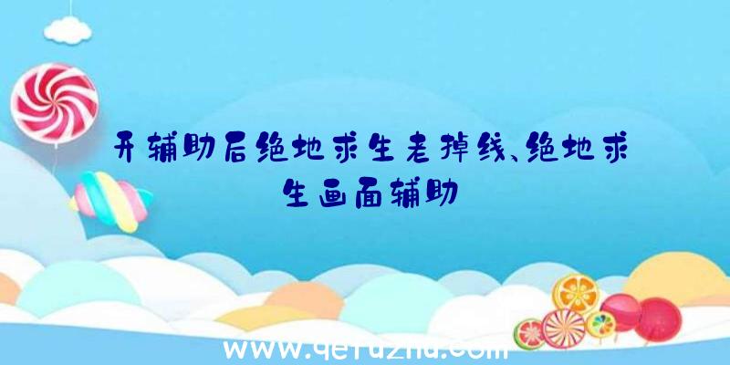 开辅助后绝地求生老掉线、绝地求生画面辅助