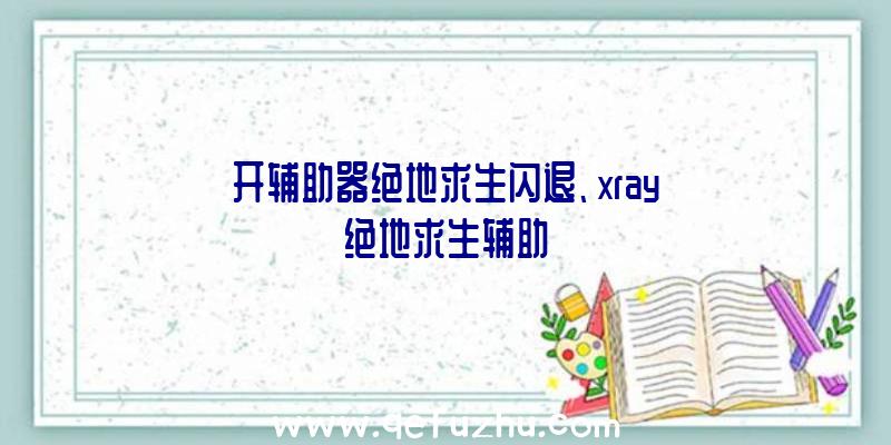 开辅助器绝地求生闪退、xray绝地求生辅助