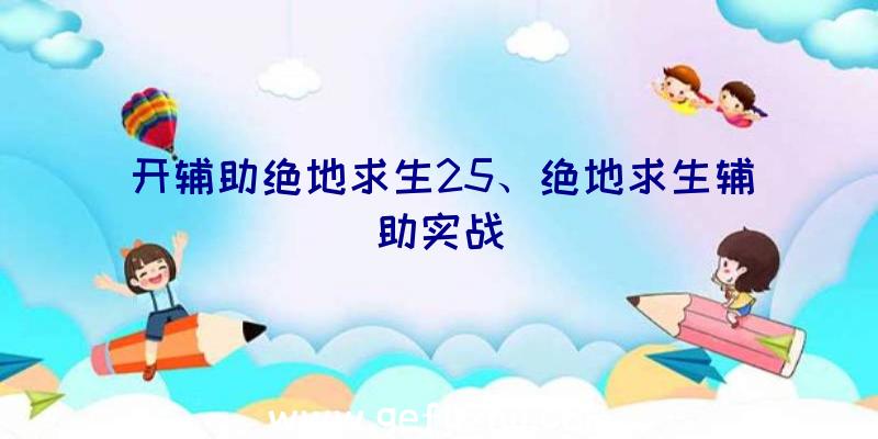 开辅助绝地求生25、绝地求生辅助实战