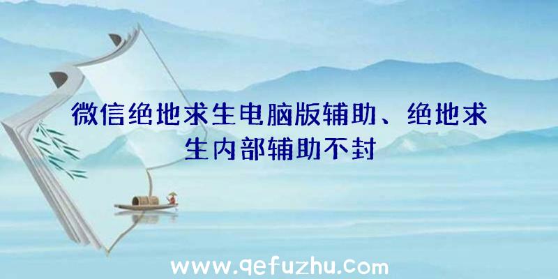 微信绝地求生电脑版辅助、绝地求生内部辅助不封