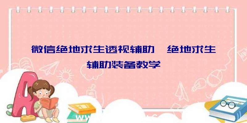 微信绝地求生透视辅助、绝地求生辅助装备教学