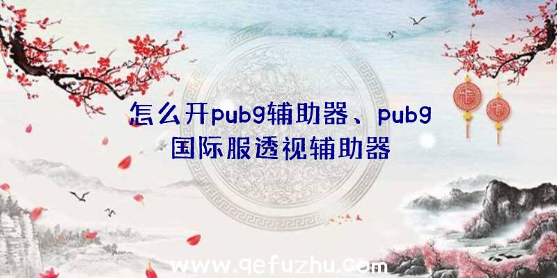 怎么开pubg辅助器、pubg国际服透视辅助器