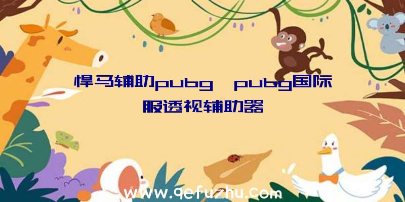 悍马辅助pubg、pubg国际服透视辅助器