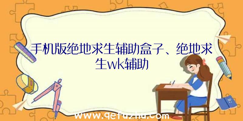 手机版绝地求生辅助盒子、绝地求生wk辅助