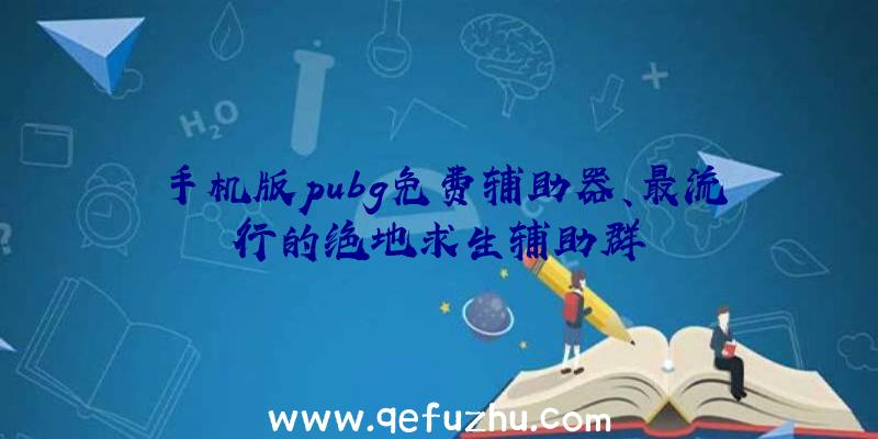 手机版pubg免费辅助器、最流行的绝地求生辅助群