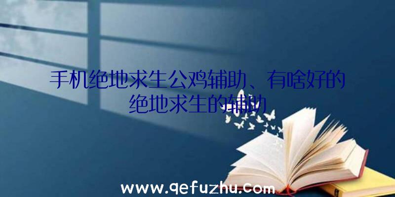 手机绝地求生公鸡辅助、有啥好的绝地求生的辅助