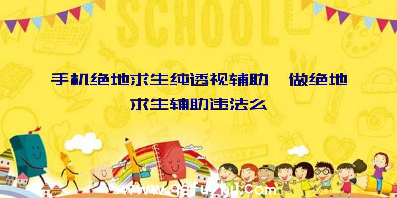 手机绝地求生纯透视辅助、做绝地求生辅助违法么