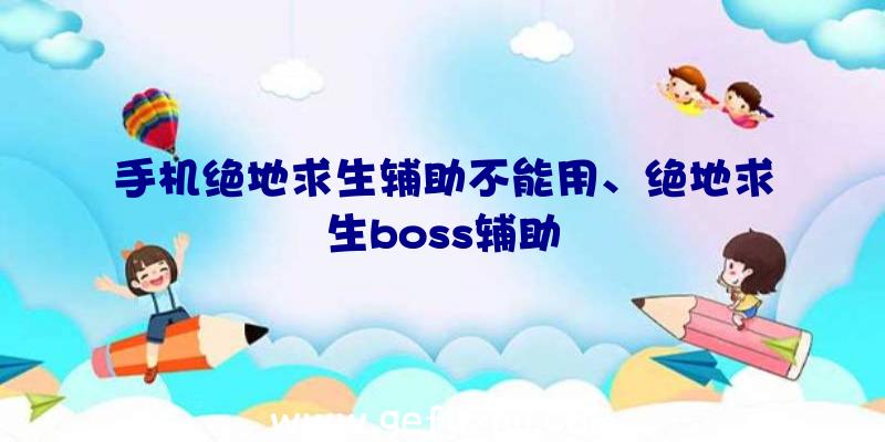 手机绝地求生辅助不能用、绝地求生boss辅助