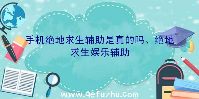 手机绝地求生辅助是真的吗、绝地求生娱乐辅助