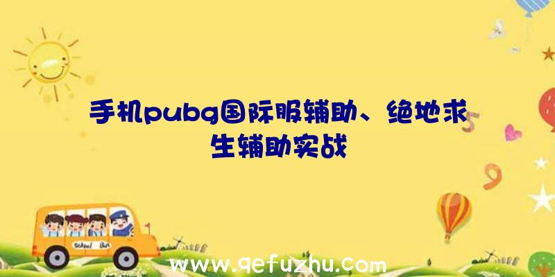 手机pubg国际服辅助、绝地求生辅助实战