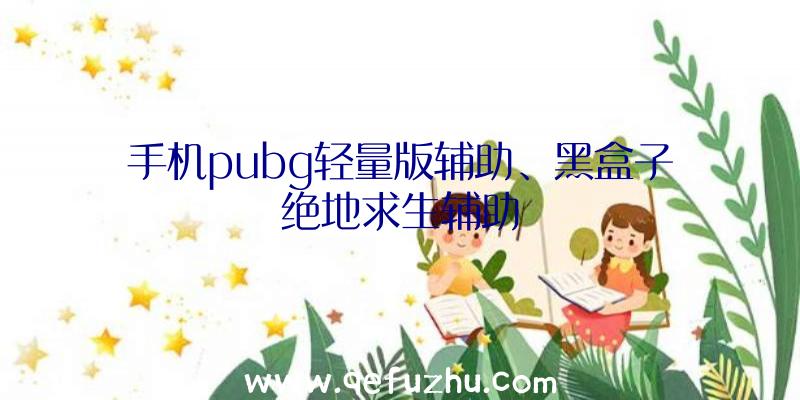 手机pubg轻量版辅助、黑盒子绝地求生辅助