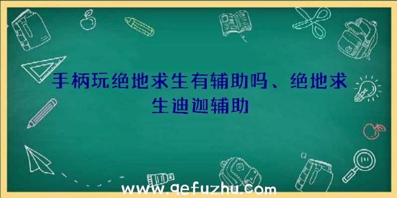 手柄玩绝地求生有辅助吗、绝地求生迪迦辅助