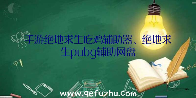 手游绝地求生吃鸡辅助器、绝地求生pubg辅助网盘