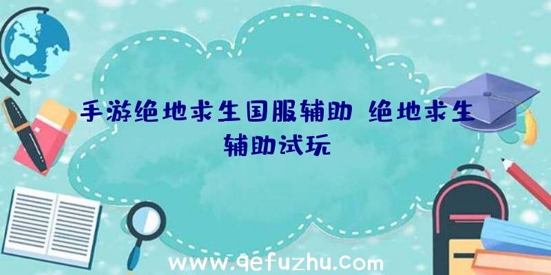 手游绝地求生国服辅助、绝地求生辅助试玩